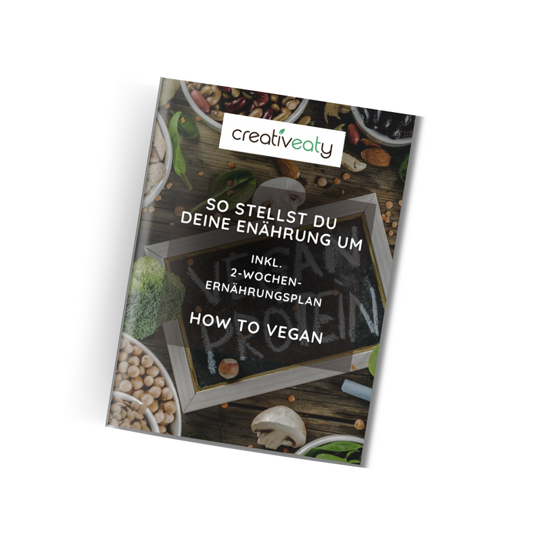 eBook Ratgeber Ernährungsumstellung + Ernährungsplan