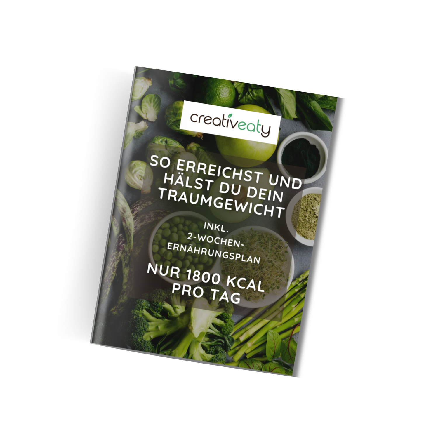 eBook Ernährungsplan + Ratgeber Traumgewicht